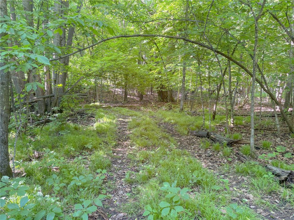 3XXXX 407th Street Dent MN 56528 - East Silent 7092941 image14