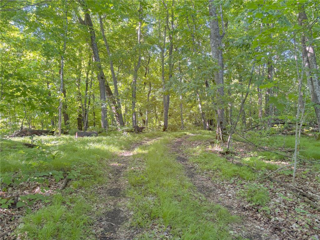 3XXXX 407th Street Dent MN 56528 - East Silent 7092941 image15