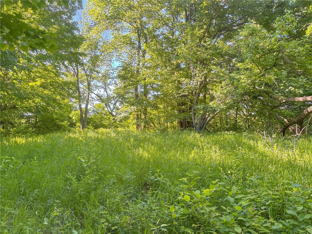 3XXXX 407th Street Dent MN 56528 - East Silent 7092941 image17
