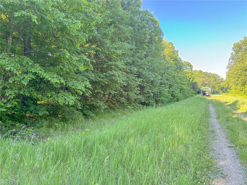 3XXXX 407th Street Dent MN 56528 - East Silent 7092941 image8