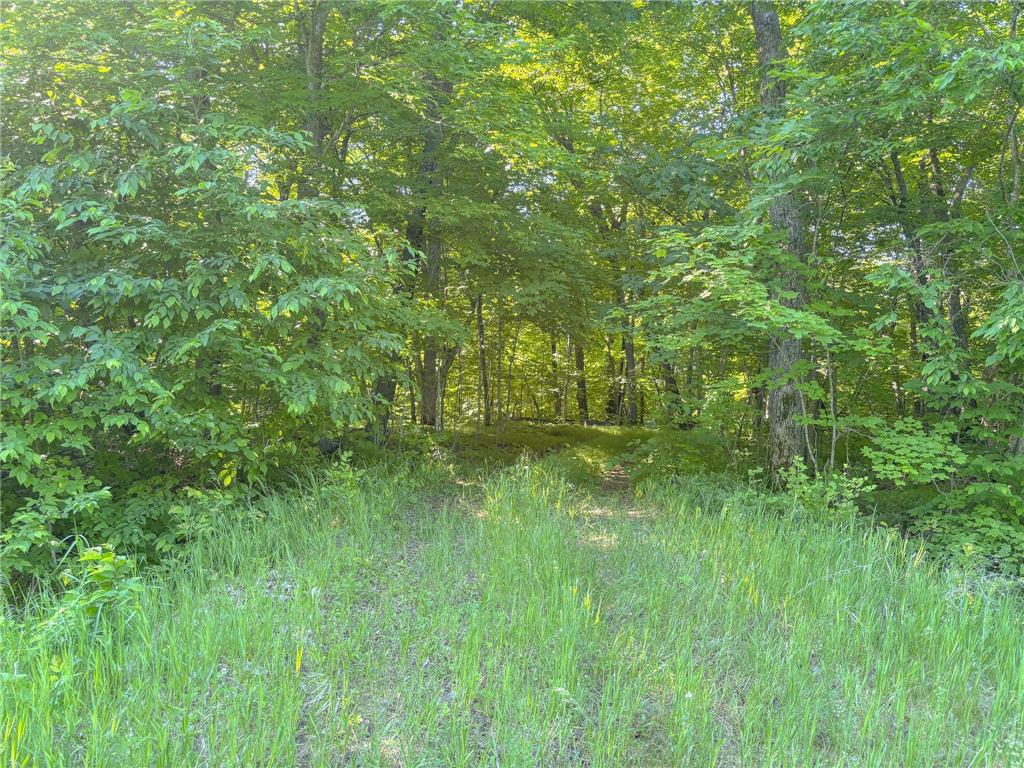 3XXXX 407th Street Dent MN 56528 - East Silent 7092941 image9