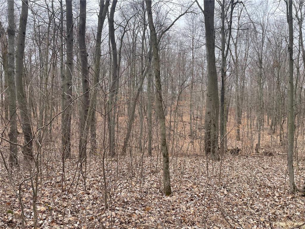 3xx 273rd Street East Farmington WI 54020 6507711 image1
