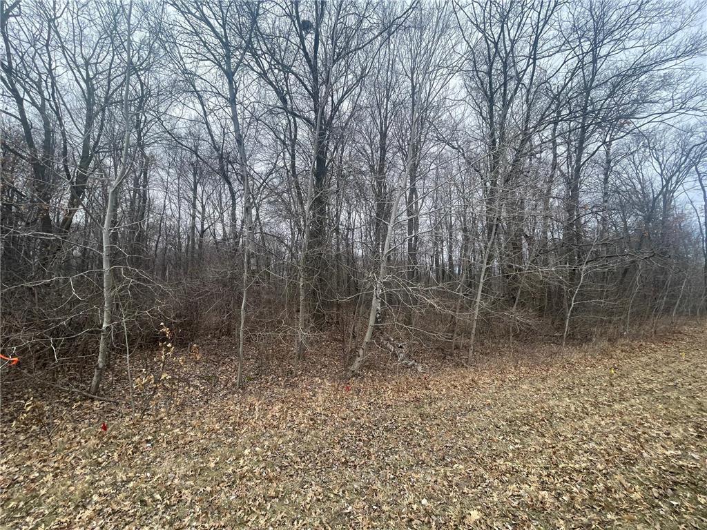 3xx 273rd Street, East Farmington, WI, 54020 MLS 6507711 Edina Realty