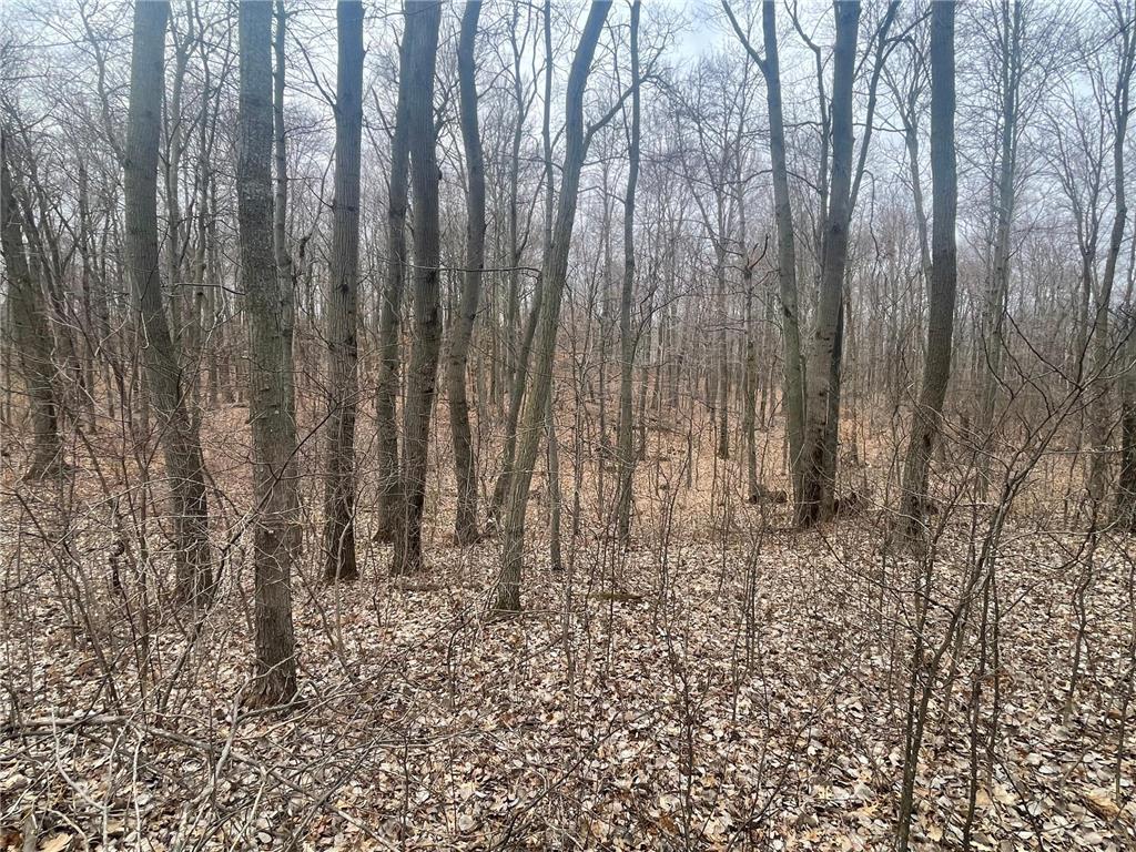 3xx 273rd Street, East Farmington, WI, 54020 MLS 6507711 Edina Realty