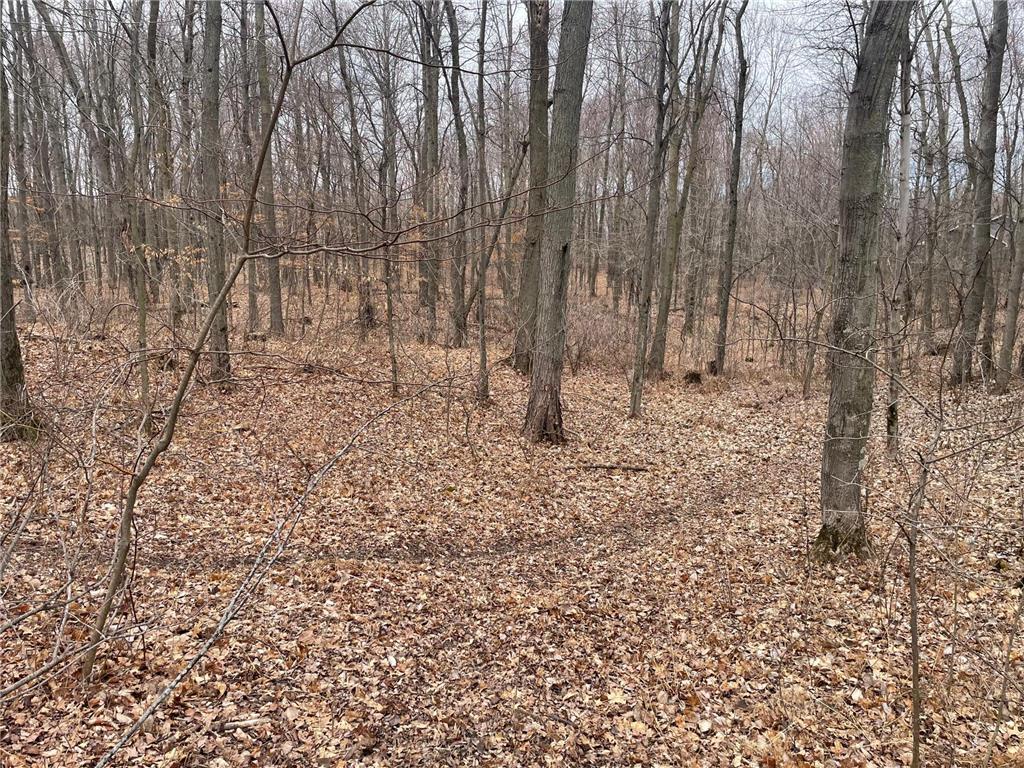 3xx 273rd Street, East Farmington, WI, 54020 MLS 6507711 Edina Realty