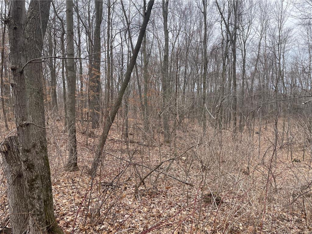 3xx 273rd Street, East Farmington, WI, 54020 MLS 6507711 Edina Realty