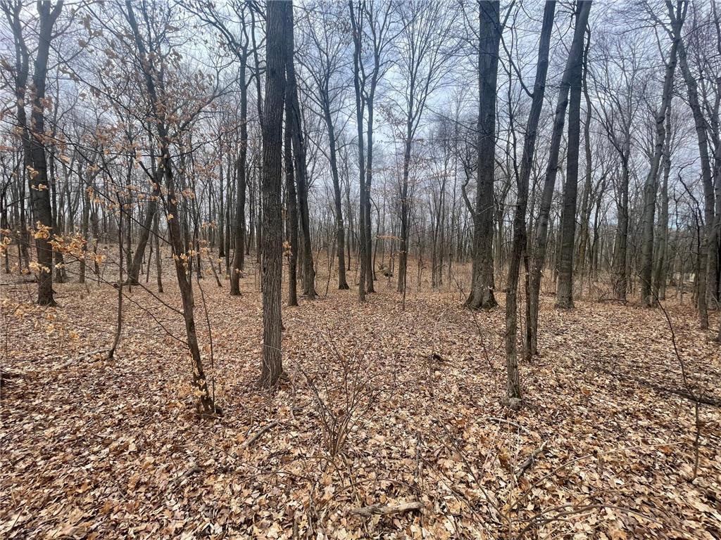 3xx 273rd Street, East Farmington, WI, 54020 MLS 6507711 Edina Realty