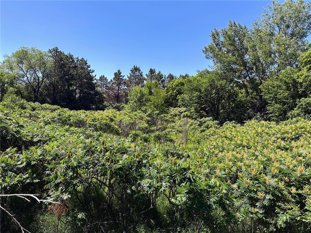 3xxxx Smokey Lane Everts Twp MN 56515 6739608 image1