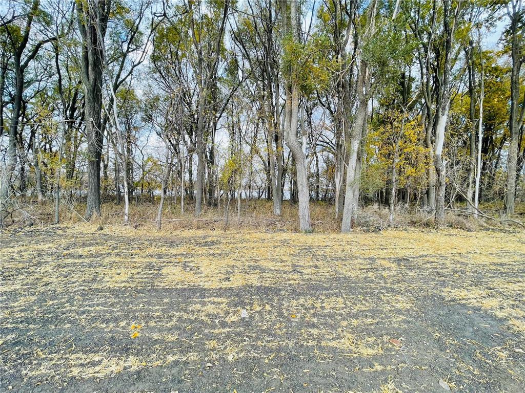 4 Cottonwood Lake Boulevard Windom MN 56101 - Cottonwood 6617768 image13
