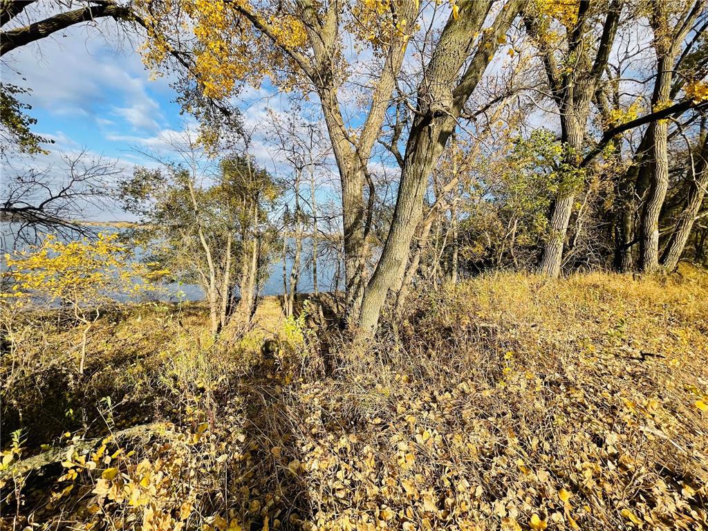 4 Cottonwood Lake Boulevard Windom MN 56101 - Cottonwood 6617768 image17