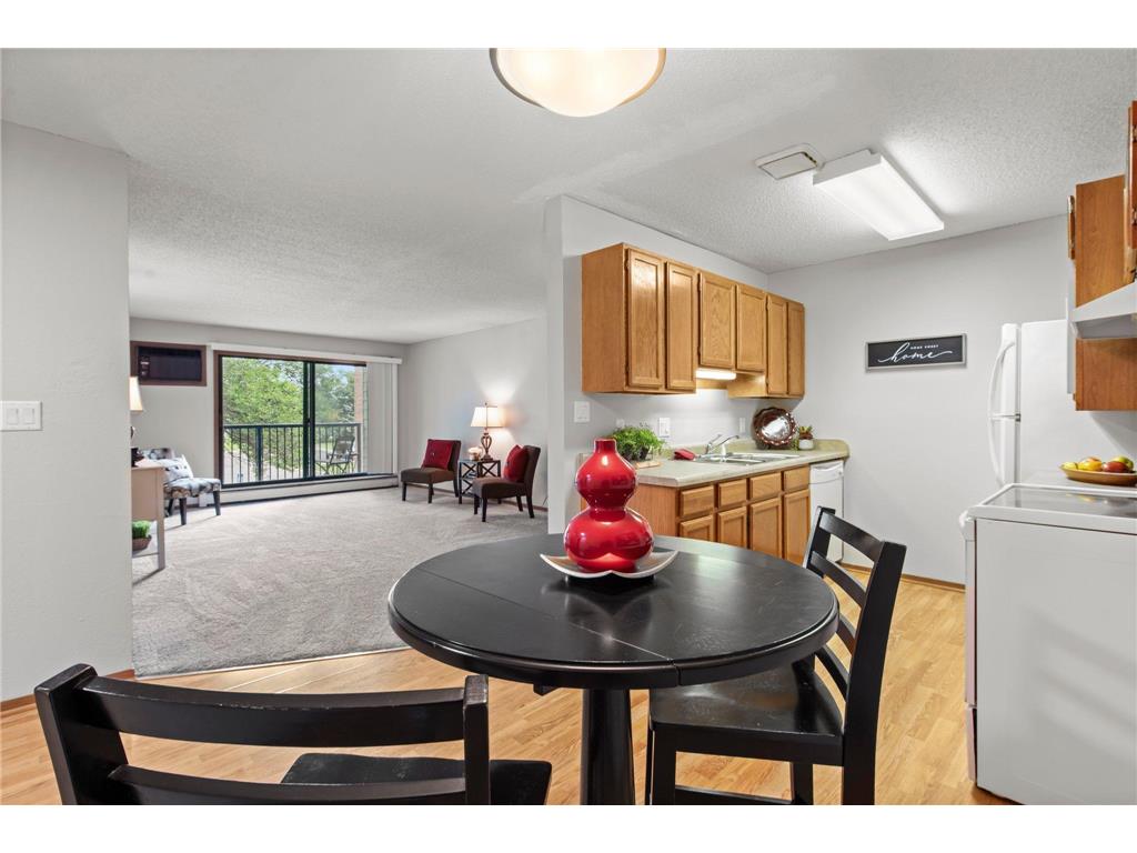 4 Pine Tree Drive #218 Arden Hills MN 55112 6780038 image1