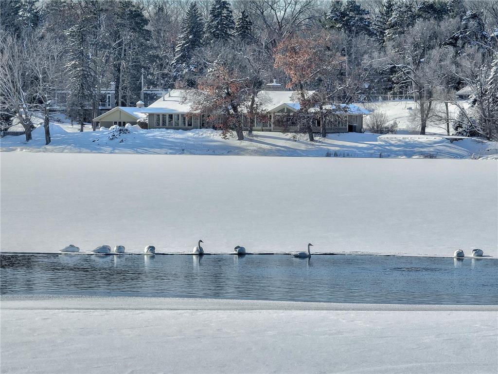 4 W Shore Road North Oaks MN 55127 - Gilfillan 6805797 image1