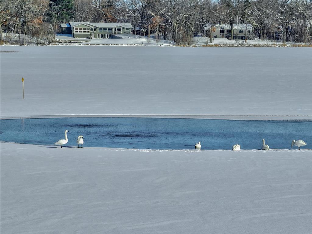 4 W Shore Road North Oaks MN 55127 - Gilfillan 6805797 image48