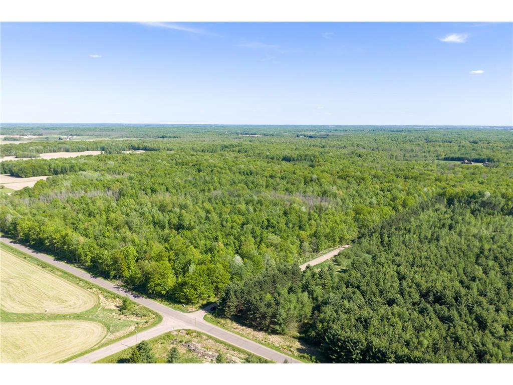 40 Acres 270th Street Estella Twp WI 54732 7079727 image1