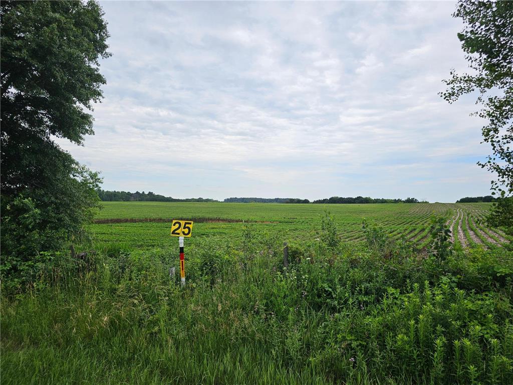 40 Acres County Road W Kinnickinnic Twp WI 54022 7103183 image4