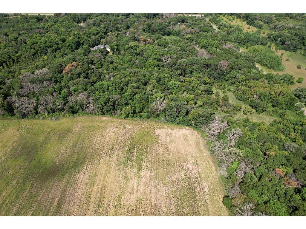 40 acres 87th Street Becker Twp MN 55308 7050887 image8