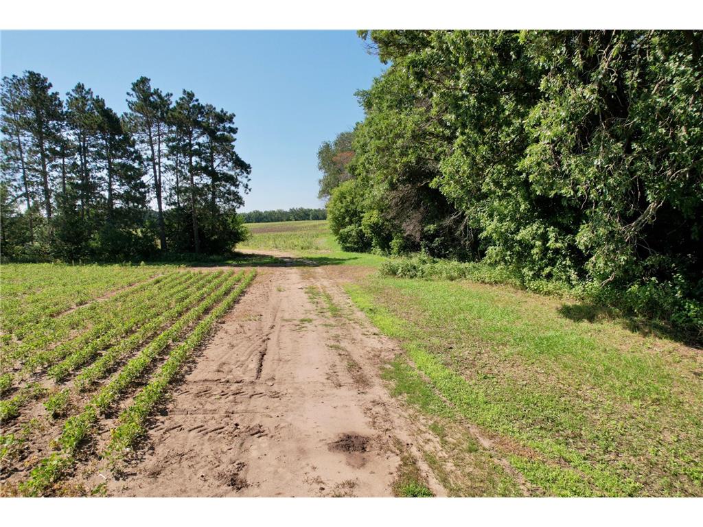 40 acres 87th Street Becker Twp MN 55308 7050887 image9