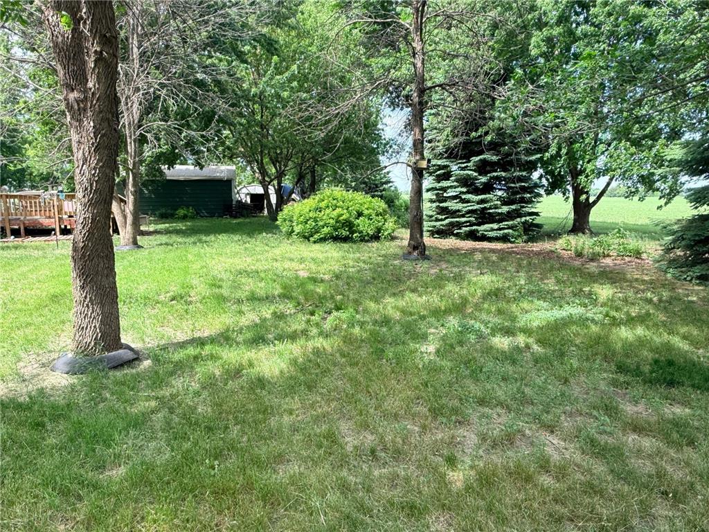 400 Dewey Street Walnut Grove MN 56180 7086569 image3