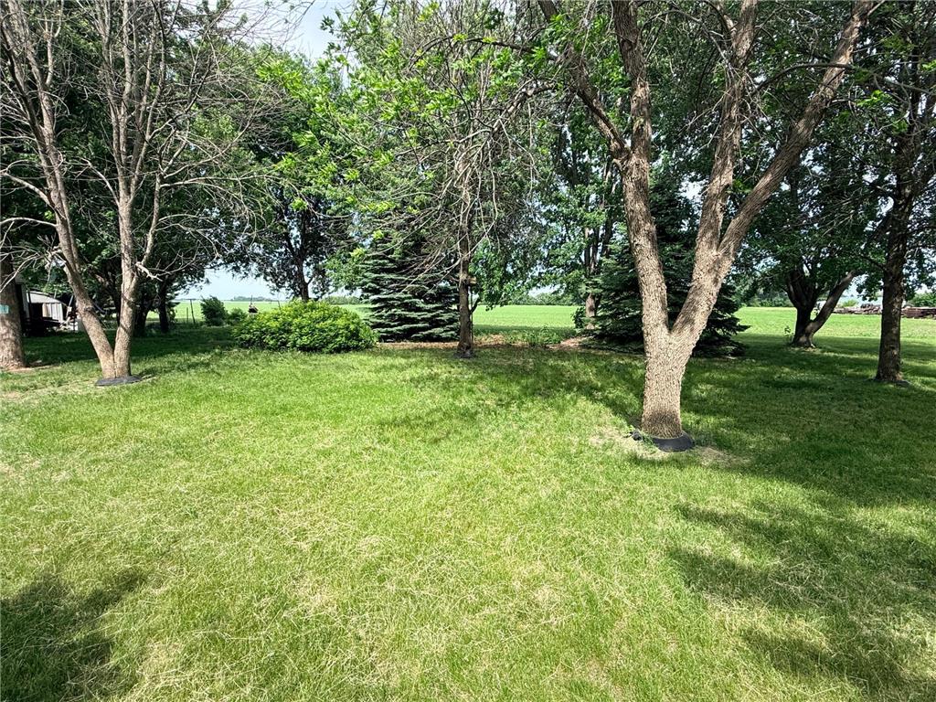 400 Dewey Street Walnut Grove MN 56180 7086569 image4