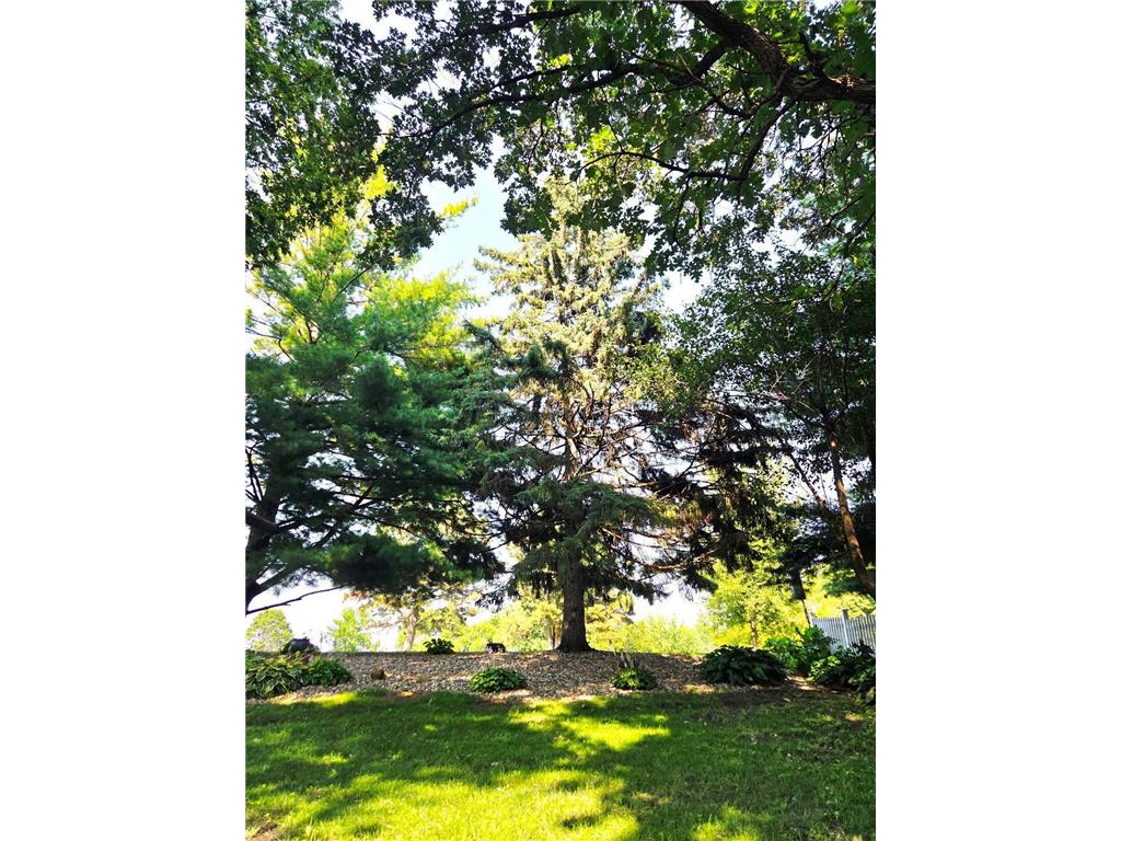 400 Edgewood Drive Glencoe MN 55336 7021612 image43