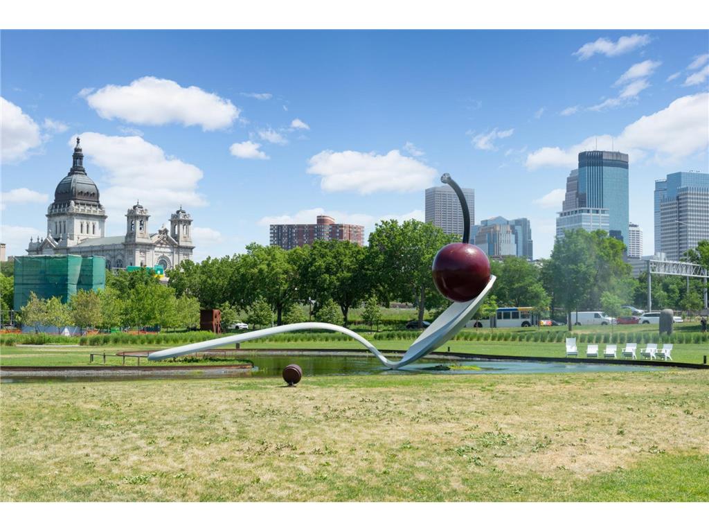 400 Groveland Avenue #1514 Minneapolis MN 55403 7069849 image39