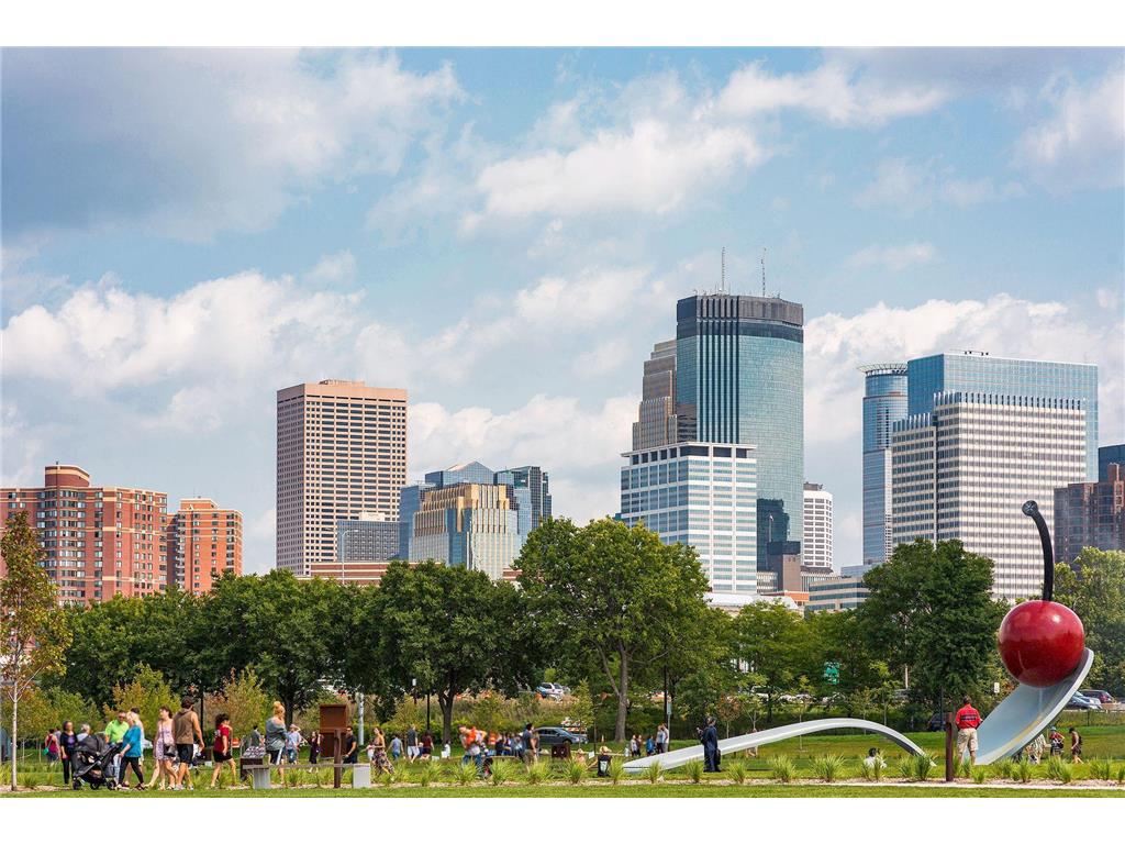 400 Groveland Avenue #914 Minneapolis MN 55403 7033680 image52