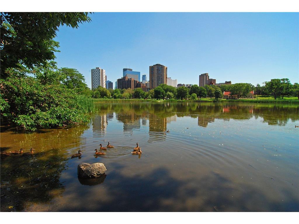 400 Groveland Avenue #914 Minneapolis MN 55403 7033680 image56