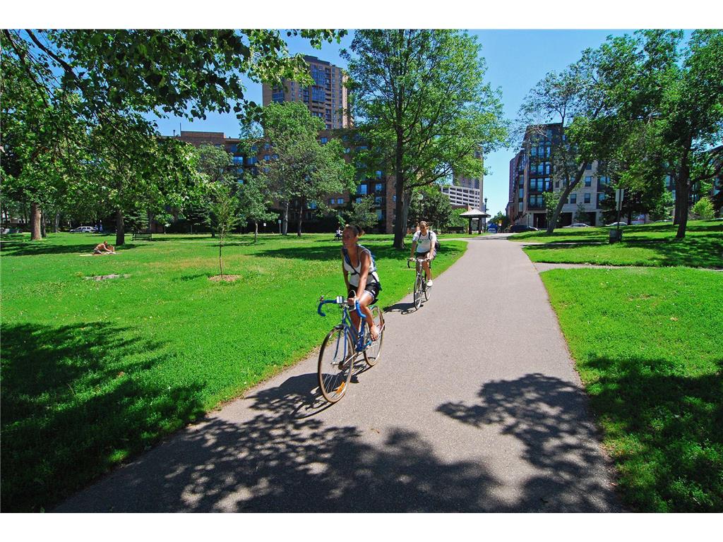 400 Groveland Avenue #914 Minneapolis MN 55403 7033680 image57