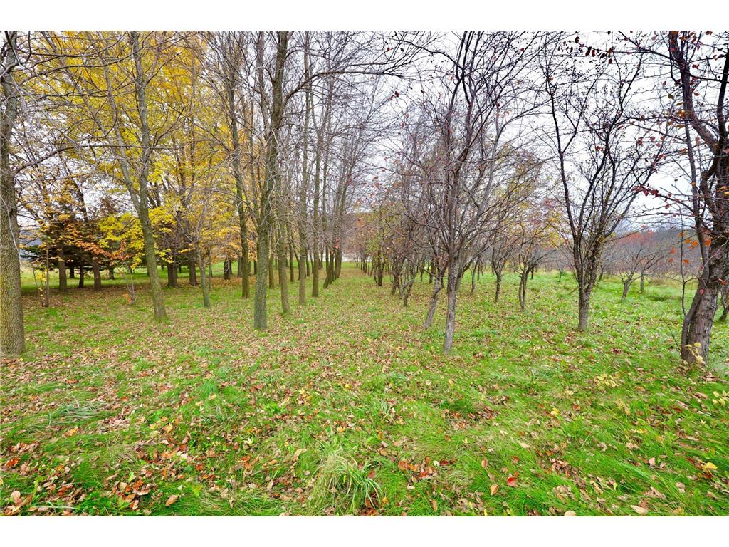 400 Luella Street Watkins MN 55389 6814188 image4