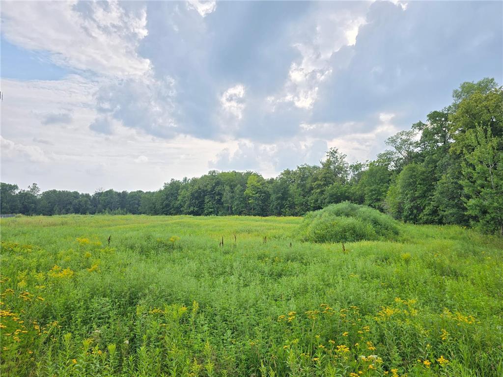 4001 Highway 18 East Side Twp MN 56342 6767698 image5