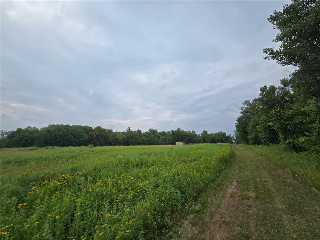 4001 Highway 18 East Side Twp MN 56342 6767698 image6