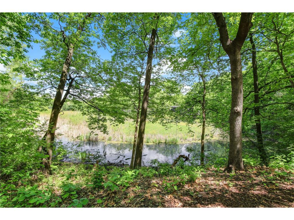4001 Huntingdon Drive Minnetonka MN 55305 7083657 image45