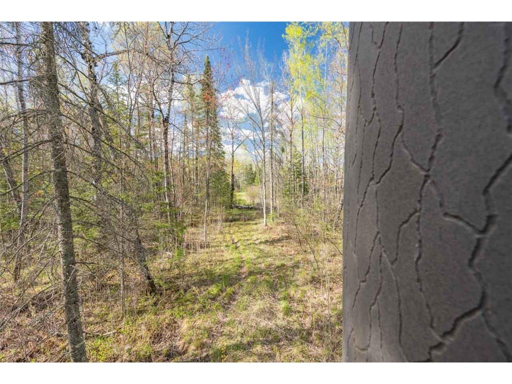 4003 Highway 5 Cherry Twp MN 55746 7079495 image56