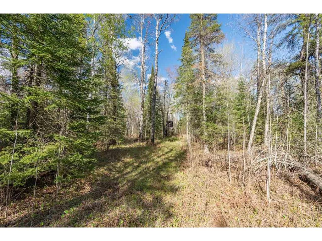 4003 Highway 5 Cherry Twp MN 55746 7079495 image58