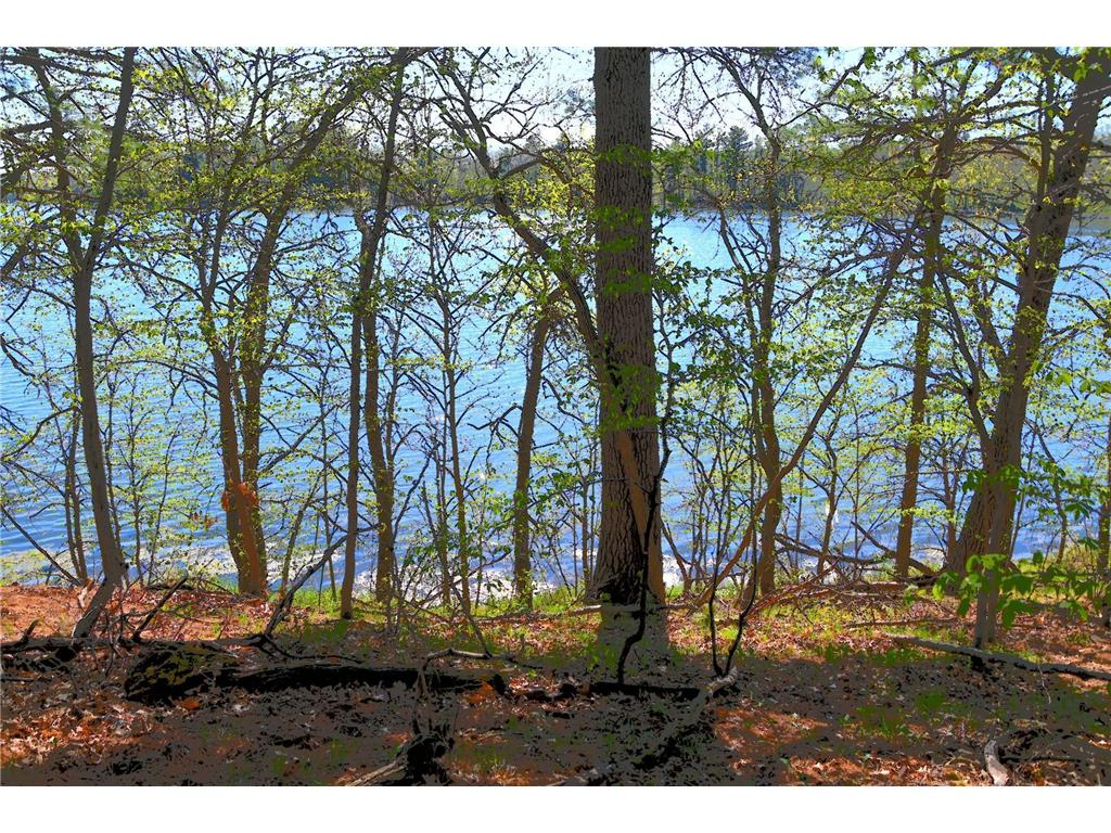 40039 County Rd 17 Fawn Lake Twp MN 56438 - Pine Island 7053625 image1