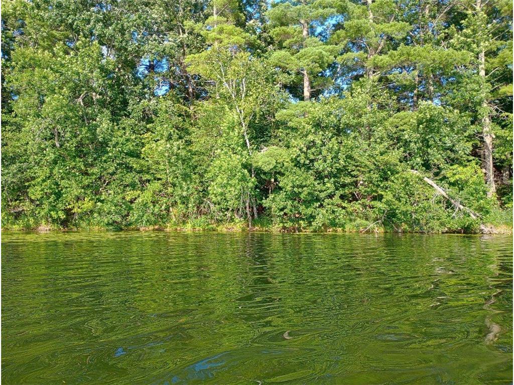 40039 County Rd 17 Fawn Lake Twp MN 56438 - Pine Island 7053625 image11