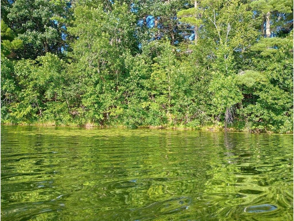 40039 County Rd 17 Fawn Lake Twp MN 56438 - Pine Island 7053625 image13