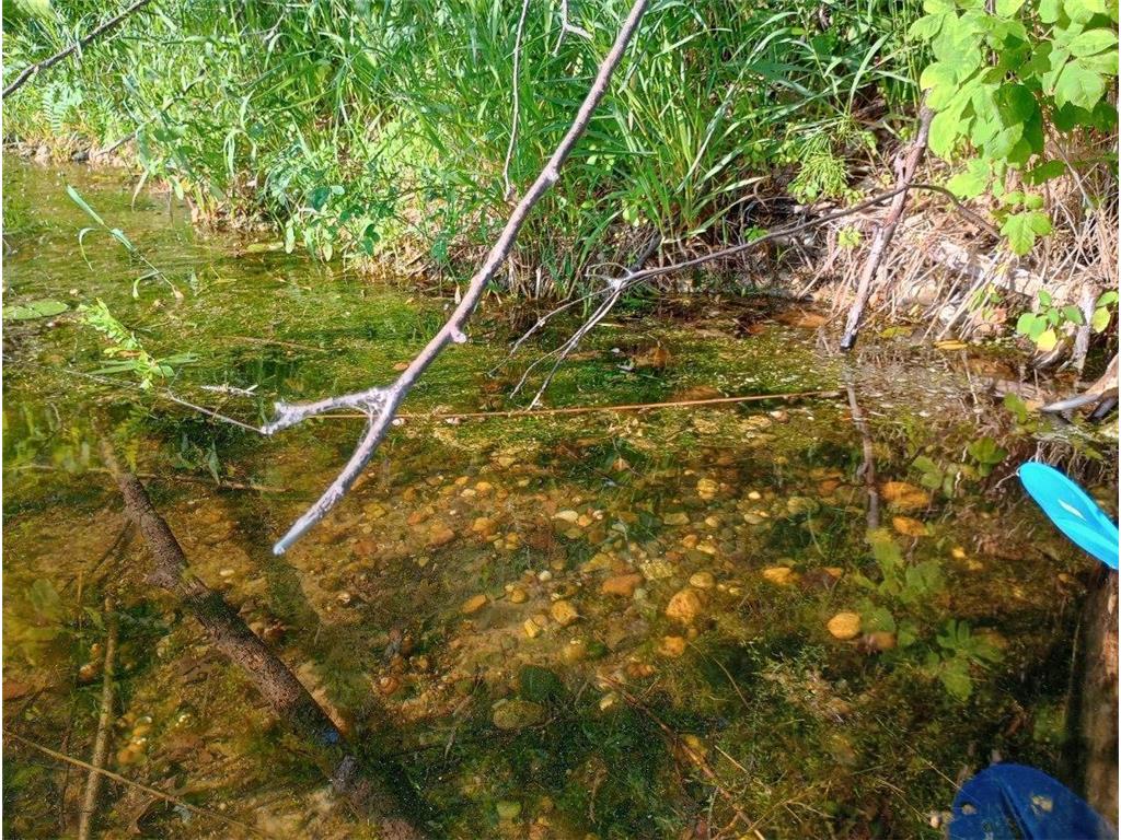 40039 County Rd 17 Fawn Lake Twp MN 56438 - Pine Island 7053625 image14