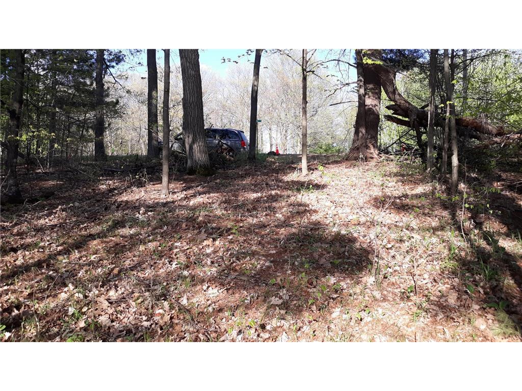 40039 County Rd 17 Fawn Lake Twp MN 56438 - Pine Island 7053625 image26