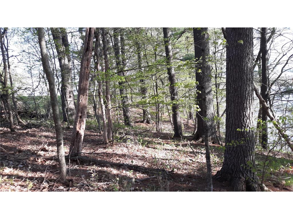 40039 County Rd 17 Fawn Lake Twp MN 56438 - Pine Island 7053625 image28