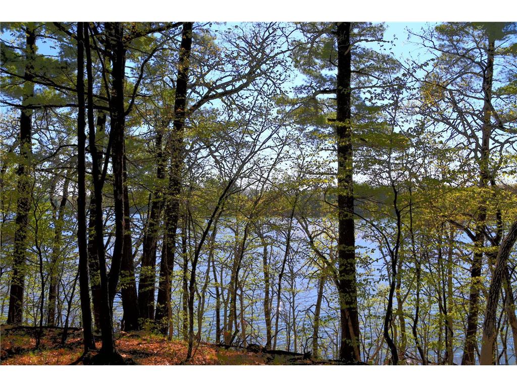 40039 County Rd 17 Fawn Lake Twp MN 56438 - Pine Island 7053625 image3