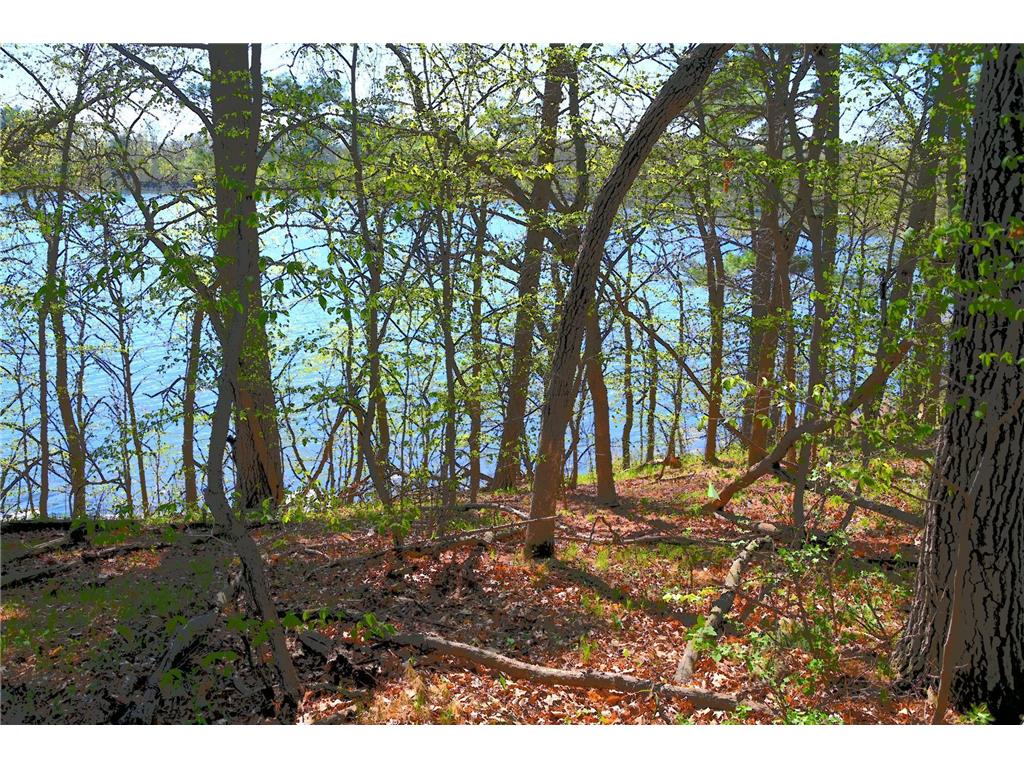 40039 County Rd 17 Fawn Lake Twp MN 56438 - Pine Island 7053625 image5