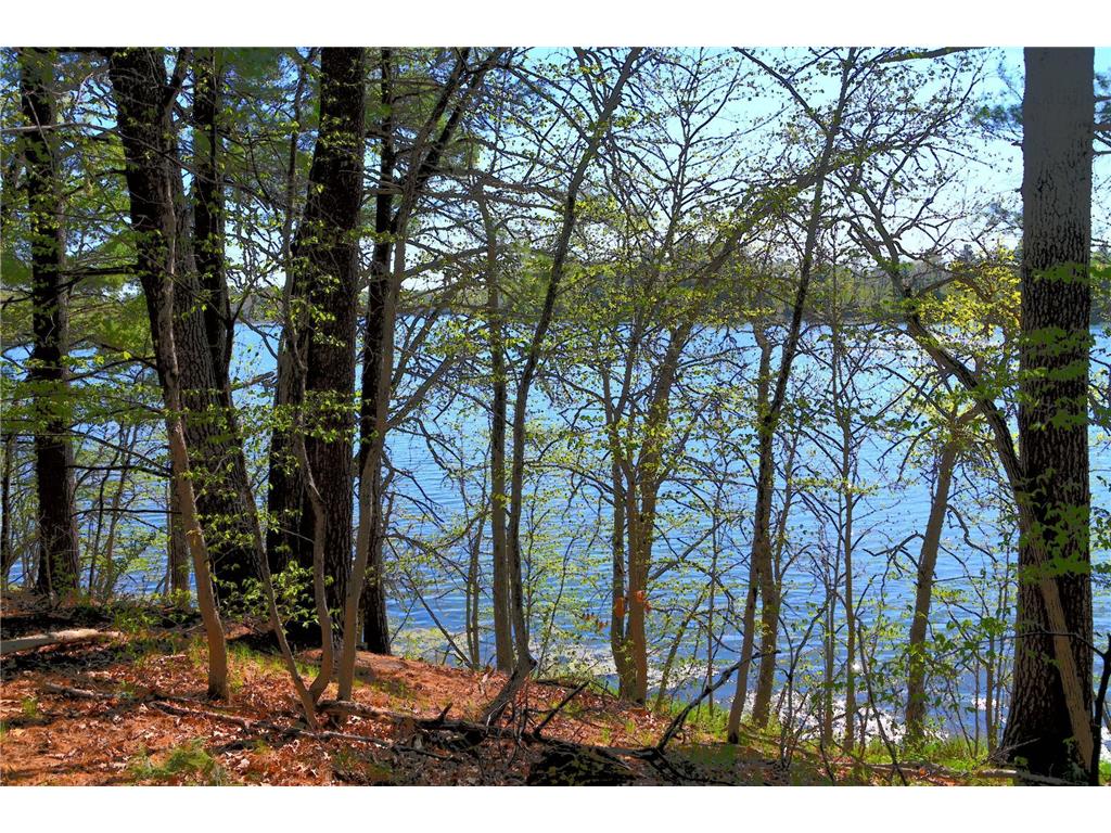 40039 County Rd 17 Fawn Lake Twp MN 56438 - Pine Island 7053625 image6