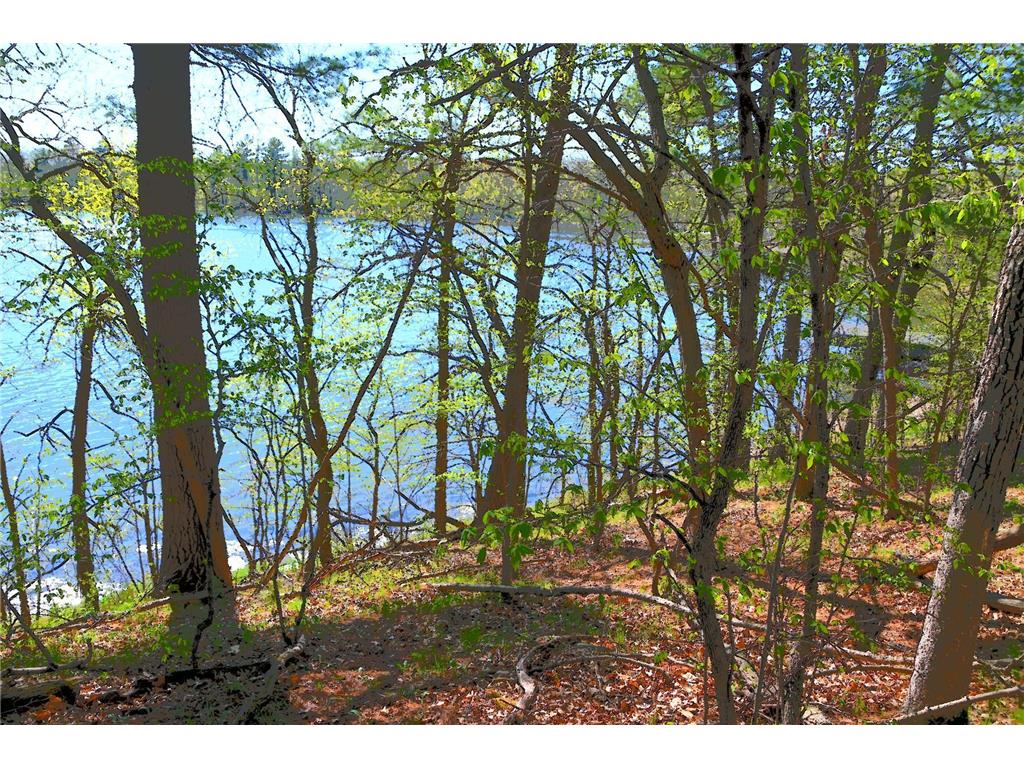 40039 County Rd 17 Fawn Lake Twp MN 56438 - Pine Island 7053625 image7