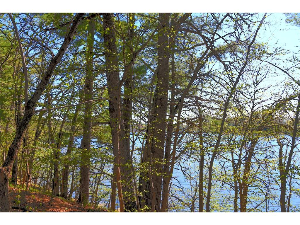 40039 County Rd 17 Fawn Lake Twp MN 56438 - Pine Island 7053625 image8