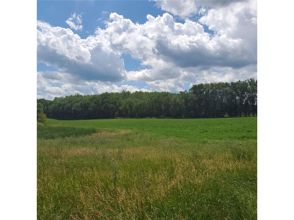 4004 Dakota Street Alexandria MN 56308 6235194 image1