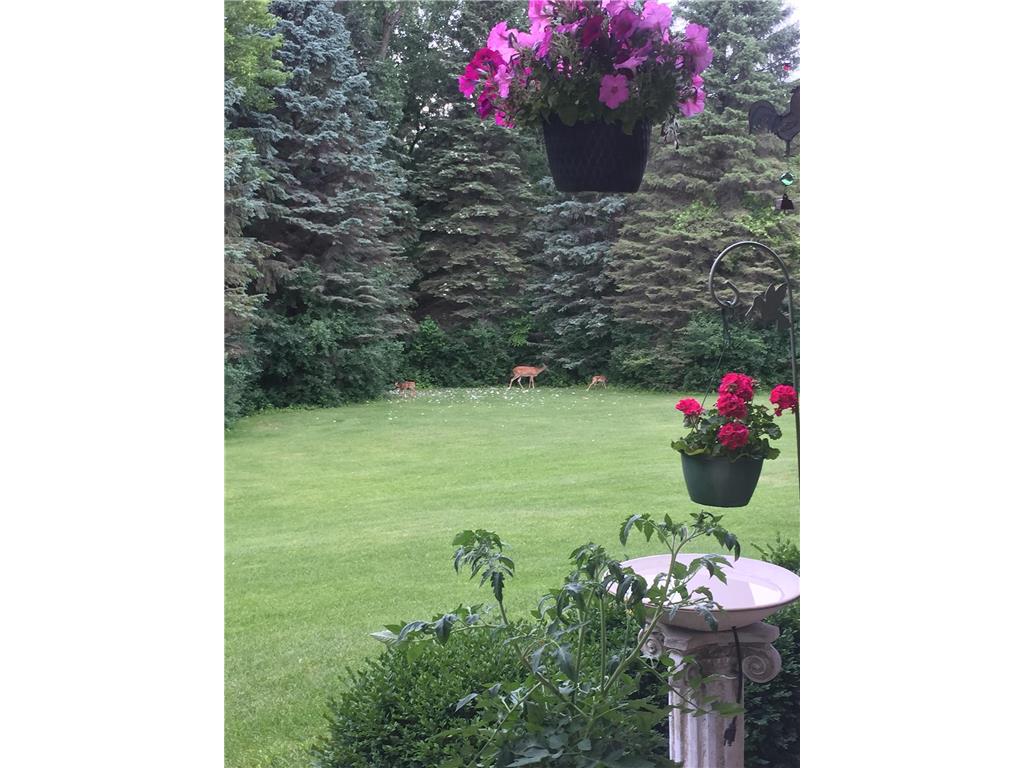 4009 Heritage Hills Drive #103 Bloomington MN 55437 6345132 image1