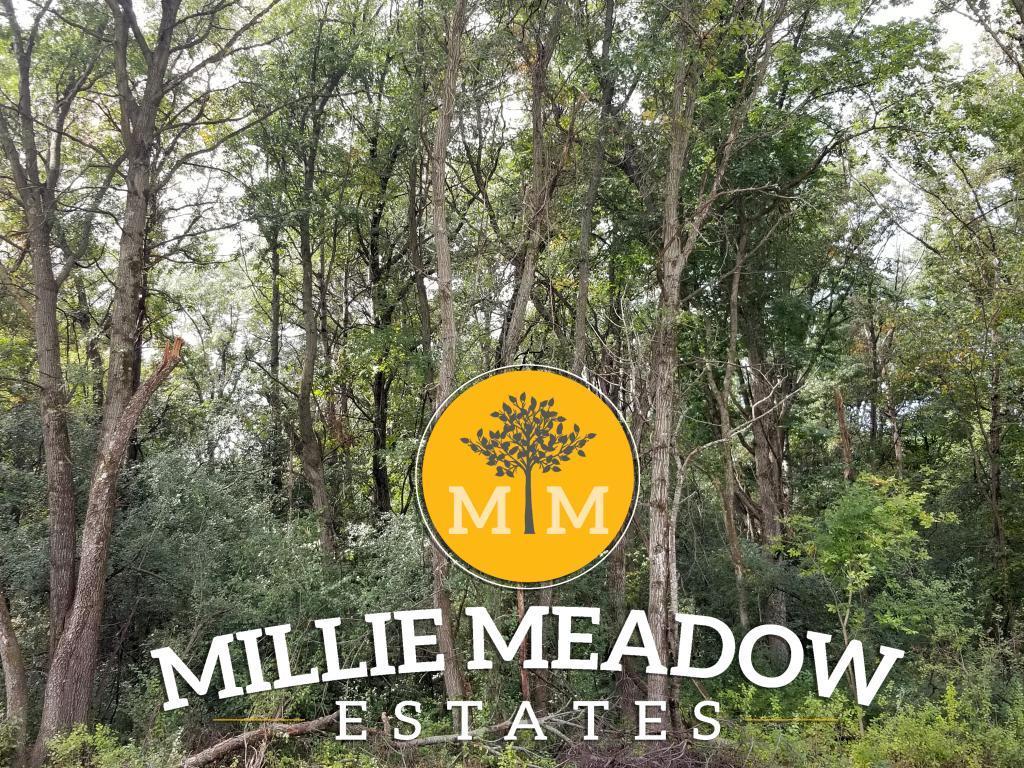 4009 Millie Meadow Drive SW Rochester MN 55902 6571620 image1