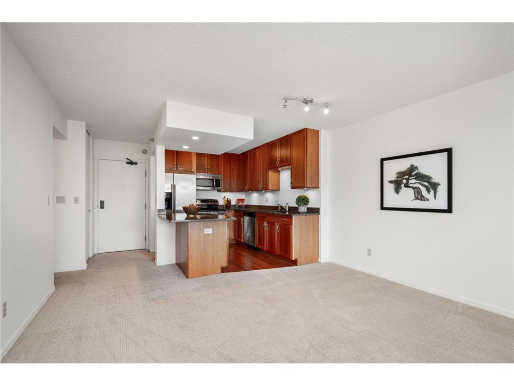 401 1ST Street S #117 Minneapolis MN 55401 - Mississippi 7086643 image9