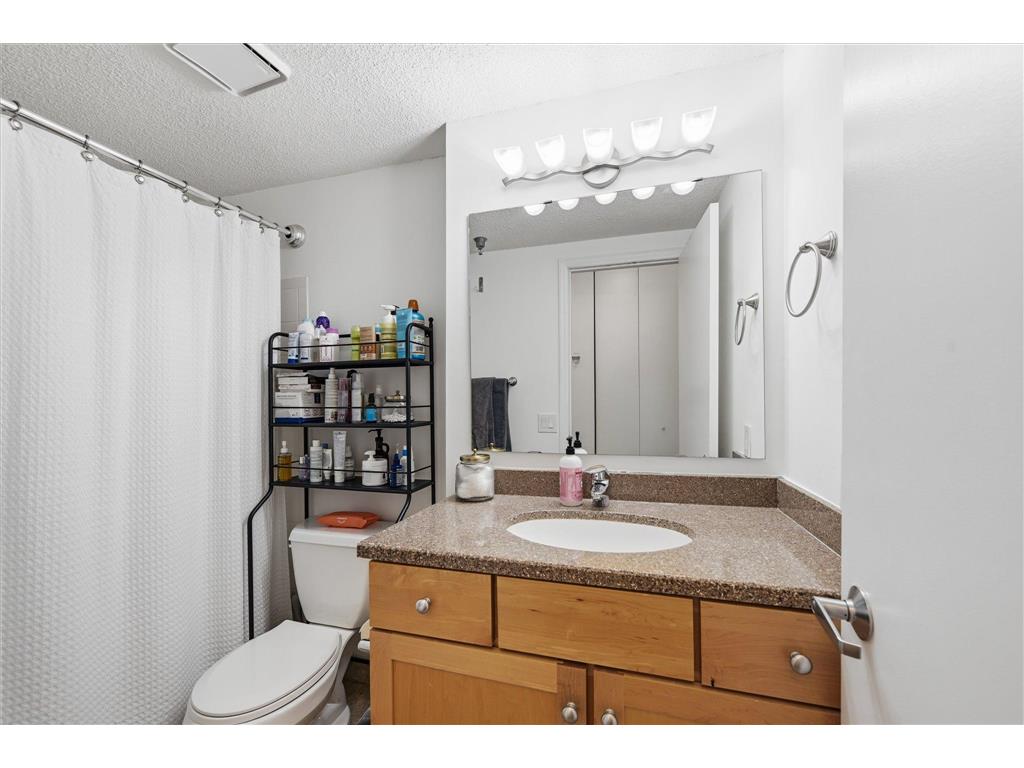 401 1st Street S #203 Minneapolis MN 55401 - Mississippi 7050336 image15